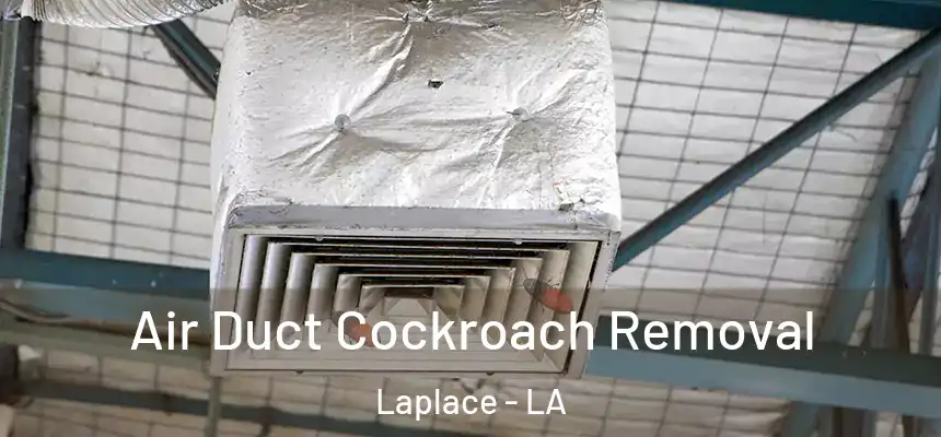  Air Duct Cockroach Removal Laplace - LA