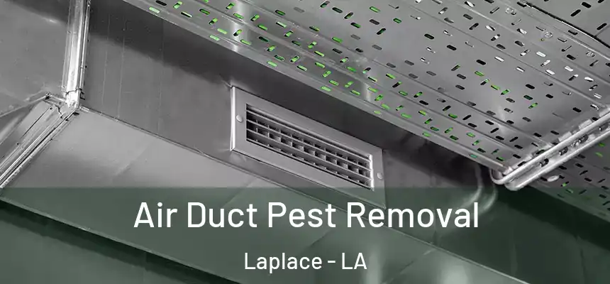 Air Duct Pest Removal Laplace - LA