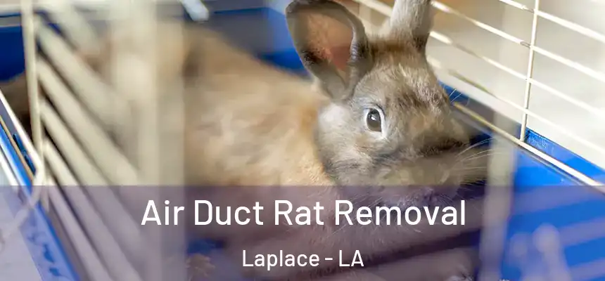  Air Duct Rat Removal Laplace - LA