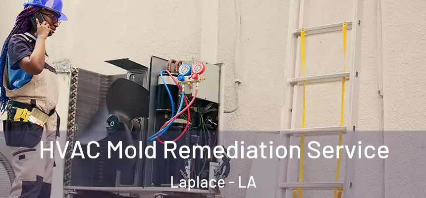 HVAC Mold Remediation Service Laplace - LA