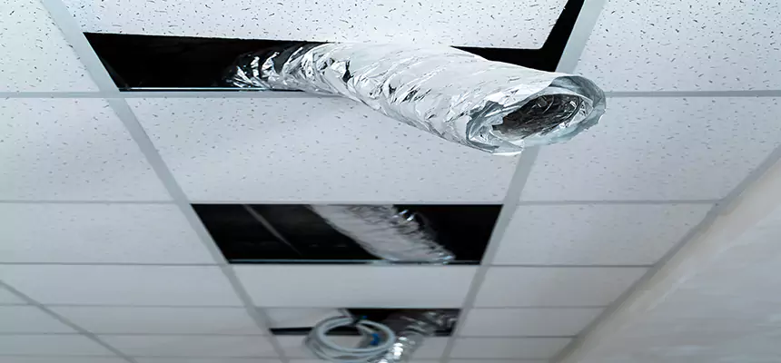 Our Air Duct Pet Hair Removal Services in Laplace, LA