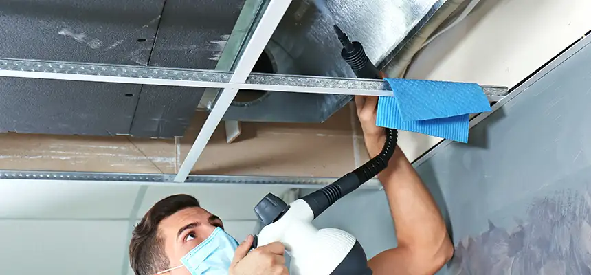 Our Air Duct Rodent Removal Services in Laplace, LA