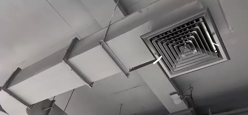 Restorative Allergy Relief Vent Cleaning – Coil, Blower & Housing Detail in Laplace