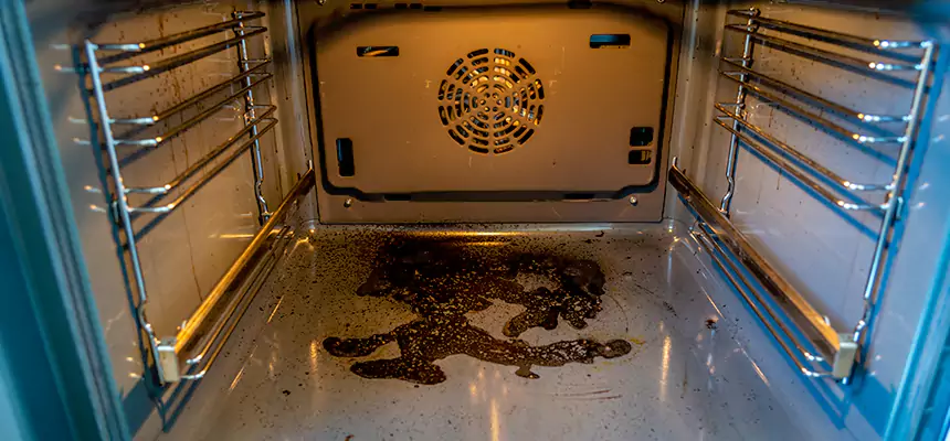 Our Dryer Vent Mold Cleaning Services in Laplace, LA