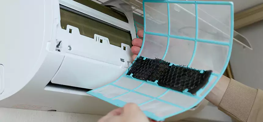 Gentle Ductwork Odor-Control Pet Dander Duct Cleaning in Laplace, LA