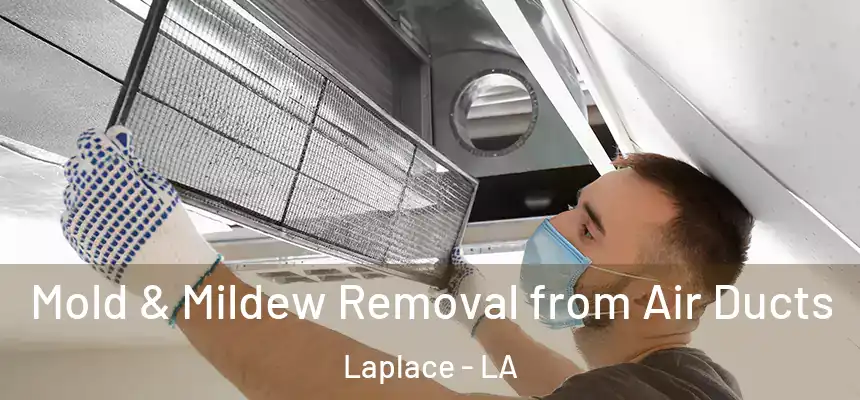Mold & Mildew Removal from Air Ducts Laplace - LA
