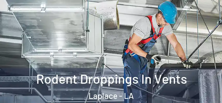 Rodent Droppings In Vents Laplace - LA