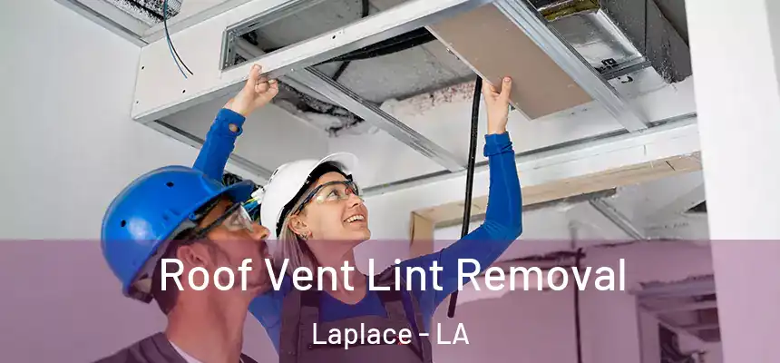 Roof Vent Lint Removal Laplace - LA