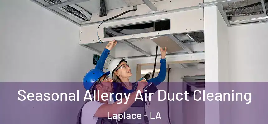  Seasonal Allergy Air Duct Cleaning Laplace - LA
