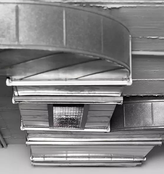 Professional Air Duct Pest Removal in Laplace, LA