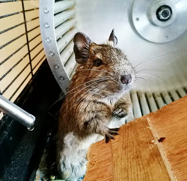 Why Homeowners & Businesses Trust Us Laplace, LA?