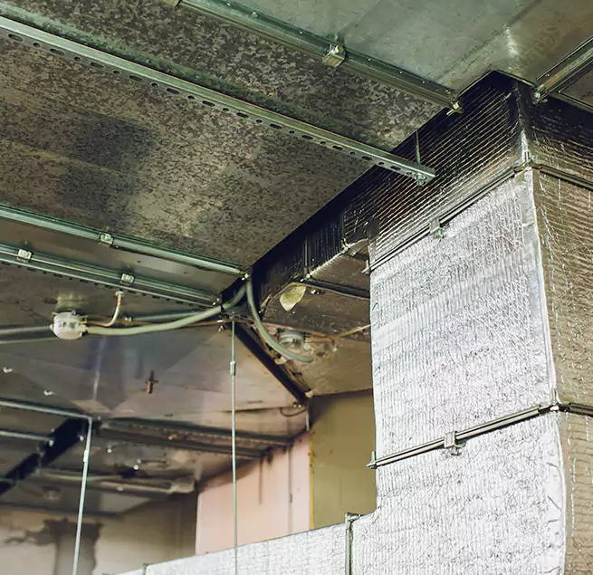 Why Homeowners & Businesses Trust Us in Laplace, LA?